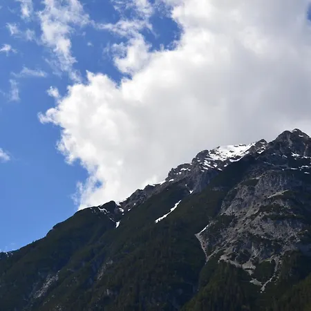 Andys Edelweiss