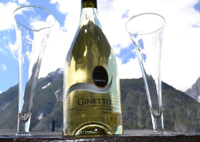 Andys Edelweiss Apartamento *